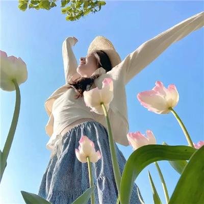 乌鸦：天空的流氓